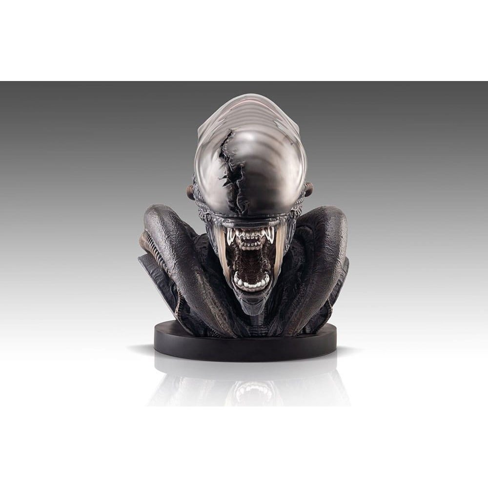Alien Romulus buste 1/1 Xenomorph 53 cm - type-bustes-1-1