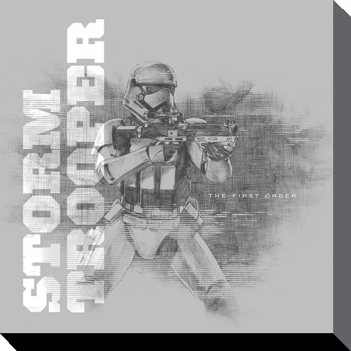 Cadre Star Wars Canvas 40X40 '38mm' Episode VII Snowtrooper Grey