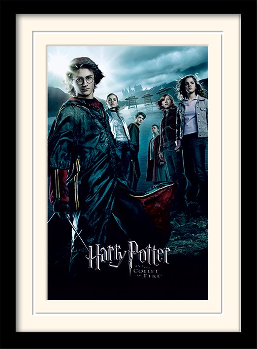 Cadre Harry Potter Mounted Framed 30X40 Print Goblet of Fire