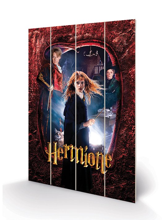 HARRY POTTER - Hermione Impression sur bois - Poster 59 cm