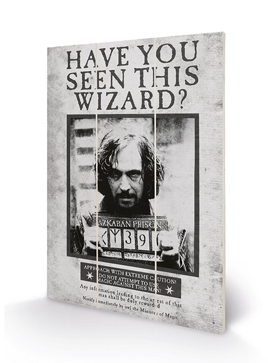 Poster Harry Potter Sirius Wanted Impression sur bois 20x29.5