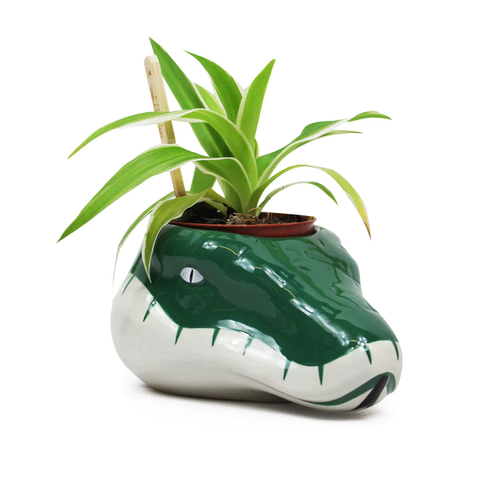Article Harry Potter Serpentard Pot Pour Plante