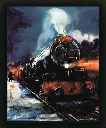 HARRY POTTER - Poudlard Express lenticulaire 3D - Poster 4 cm