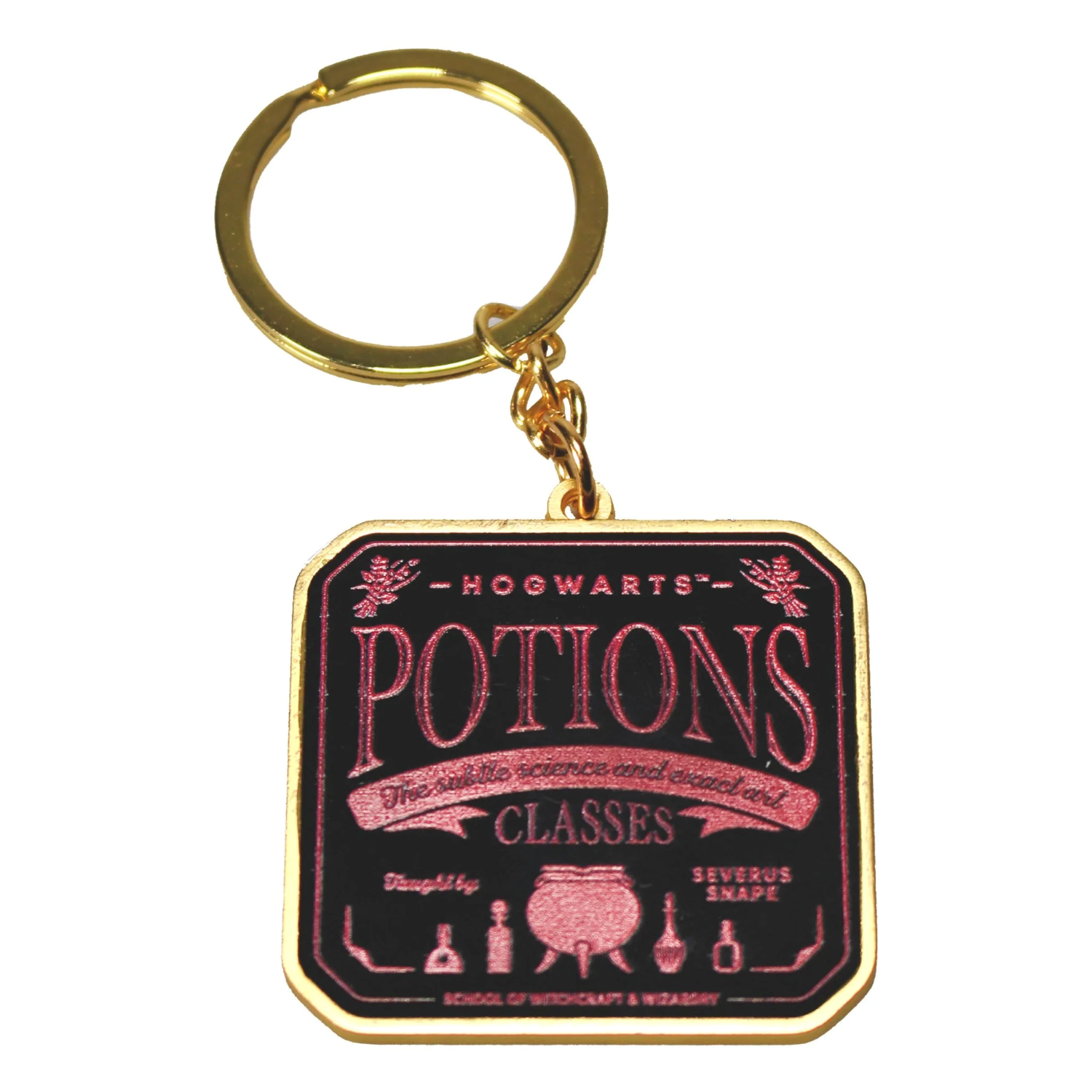 Porte-clés Harry Potter Potions Porte clé