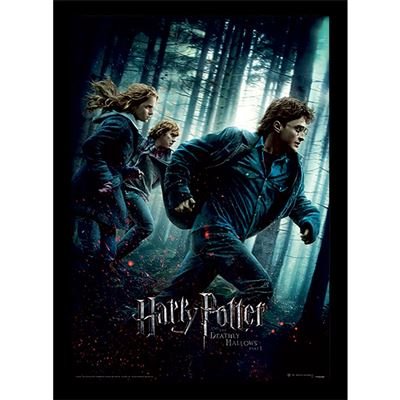 Cadre Harry Potter Reliques de la Mort Part 1 Impression encadrée 30x40cm
