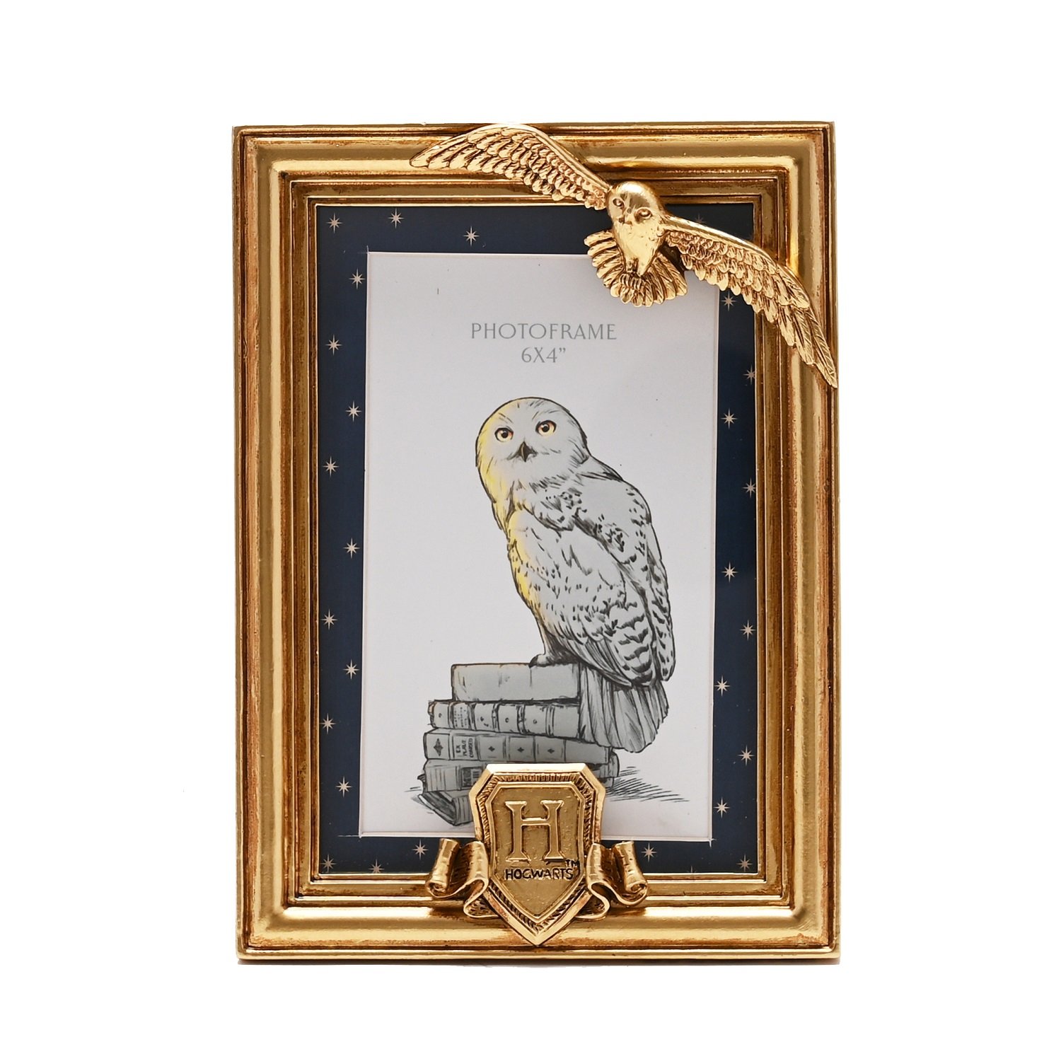 Décoration Harry Potter Hedwige Cadre Photo 3D