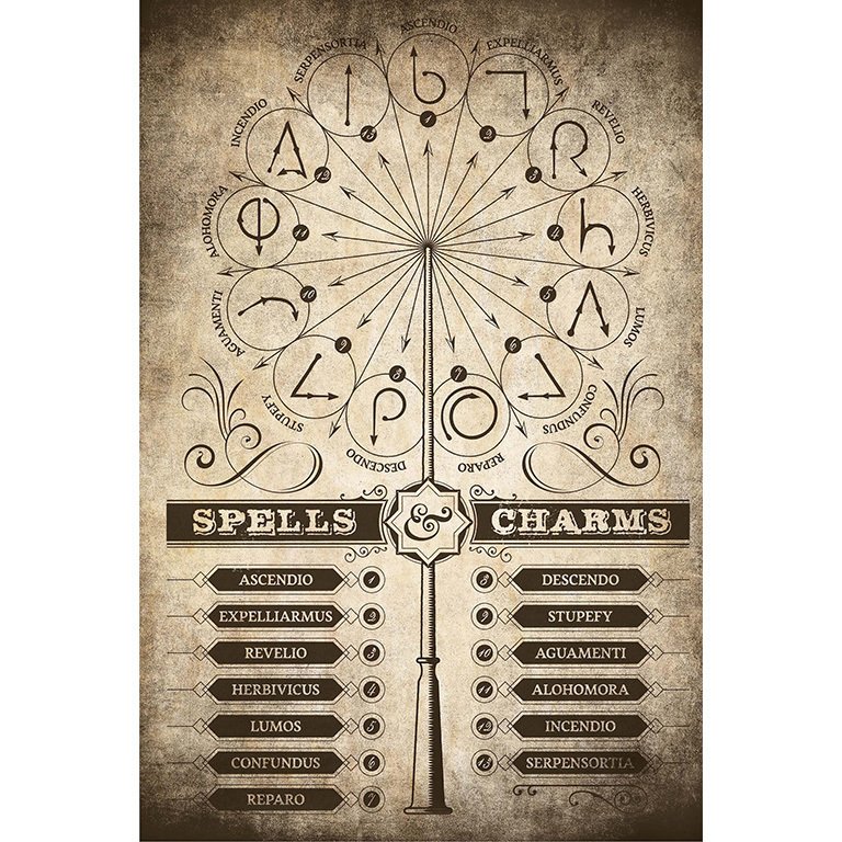 Poster Harry Potter Sortilèges Charmes 61 x 91cm