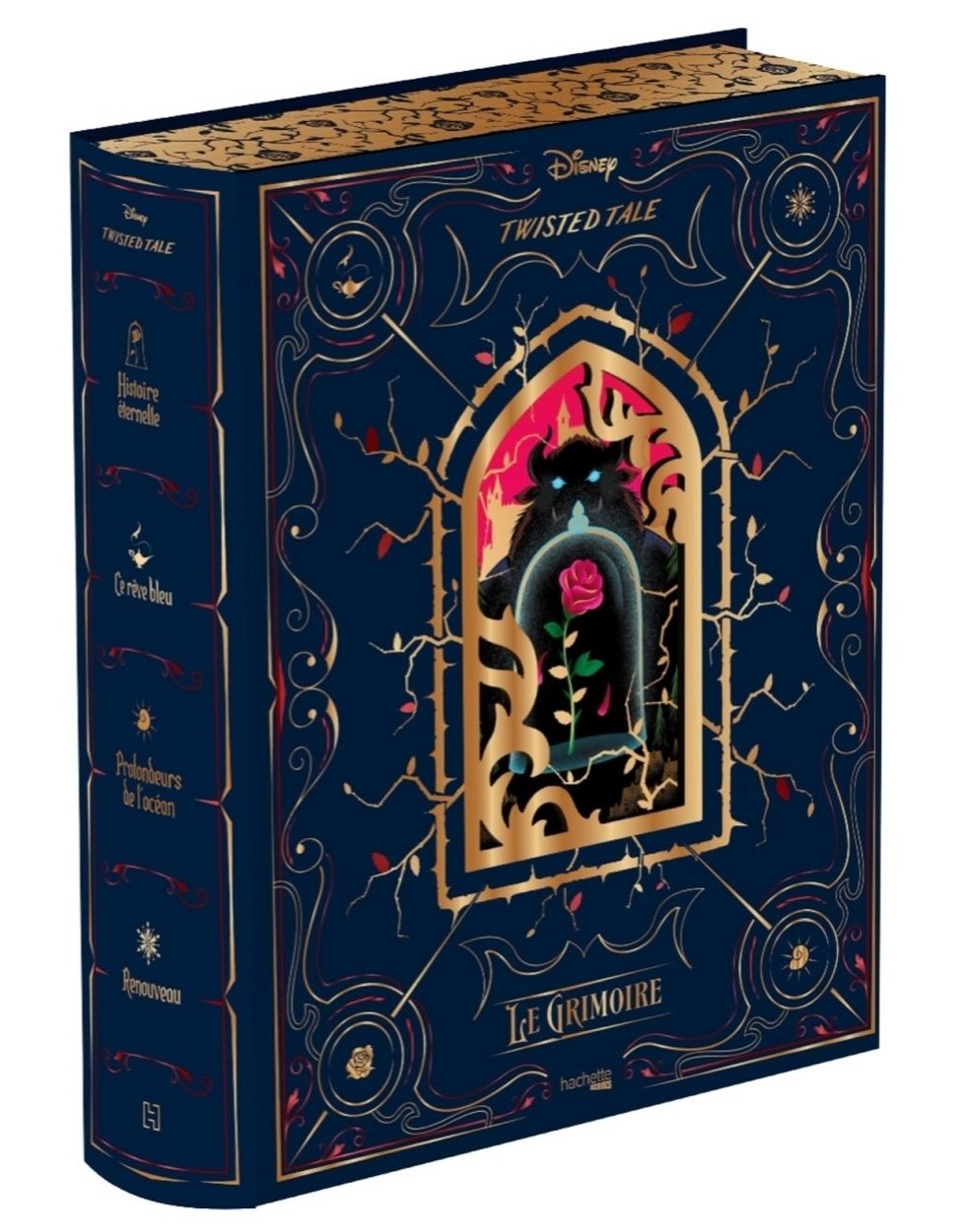 Livre Disney GRIMOIRE TWISTED TALE