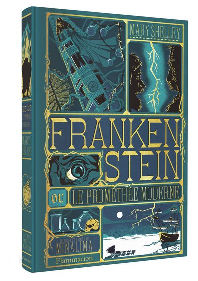 Livre FRANKENSTEIN Illustration par Minalima
