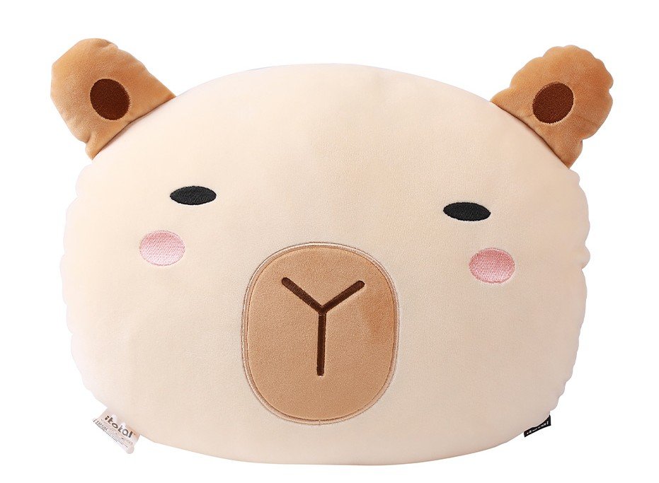 Coussin KAWAII Capybara plat