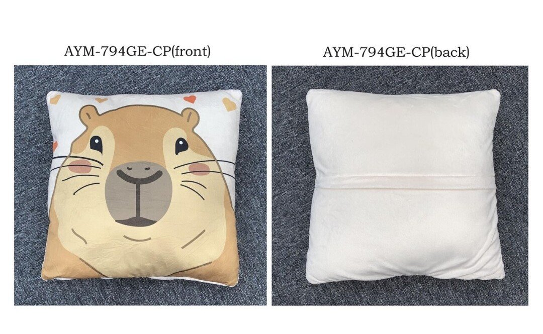 Coussin CAPYBARA 35x35cm