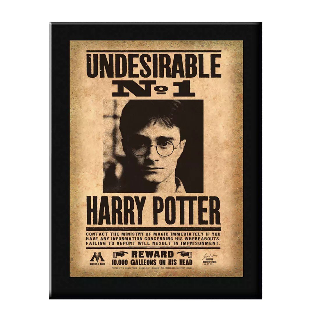 Décoration murale Harry Potter Plaque Indesirable N°1