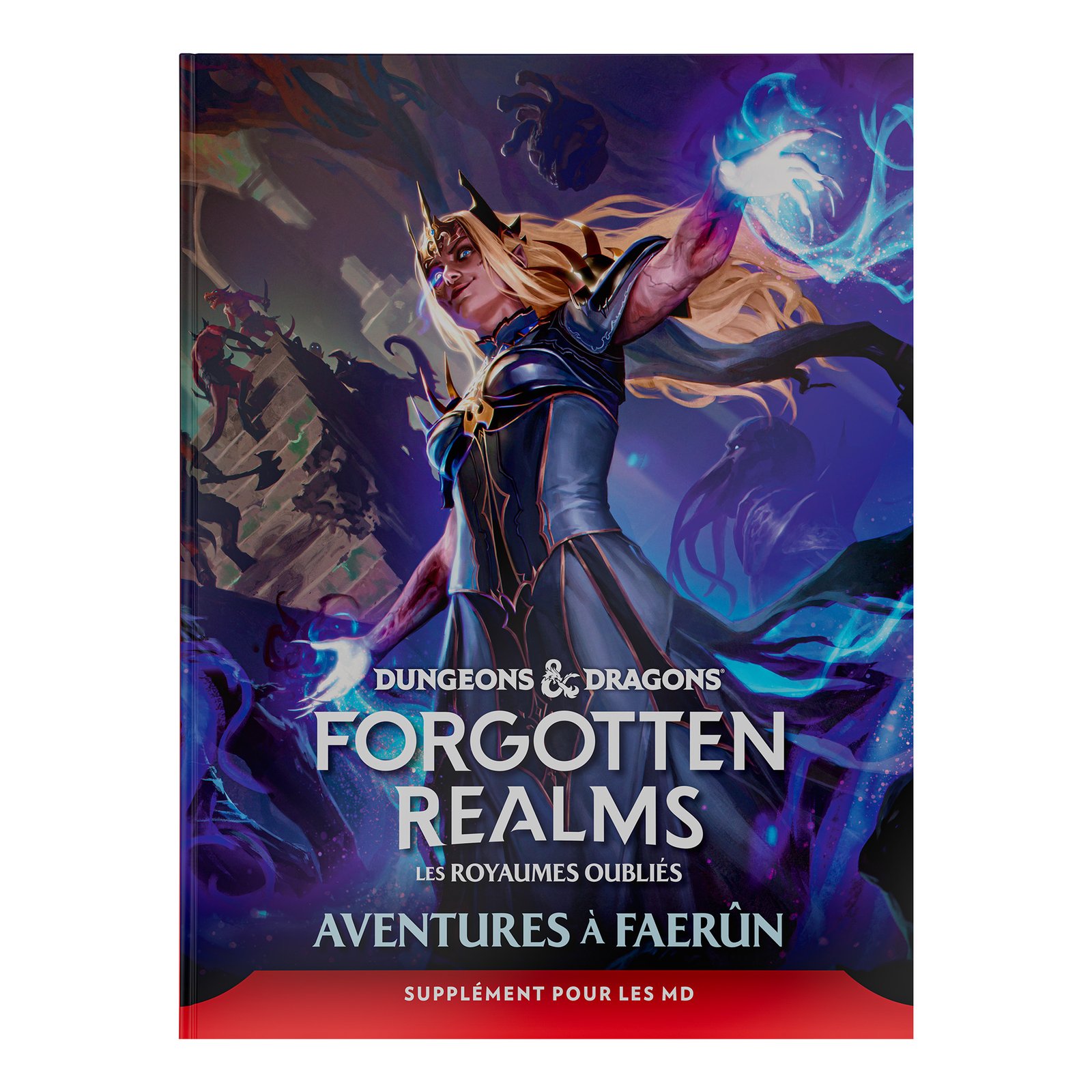 D&D - Forgotten Realms: Adventures in Faerûn Guide du maître Hard Cover - FR - Livres & suppléments de jeu de rôle