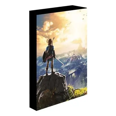 Figurine the legend of zelda into wilds light up canvas - The Legend of Zelda