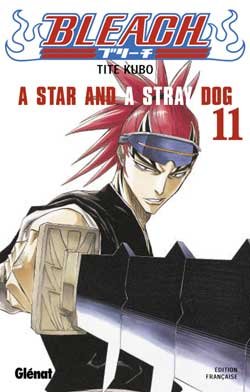Bleach - Tome 11