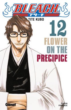 Bleach - Tome 12