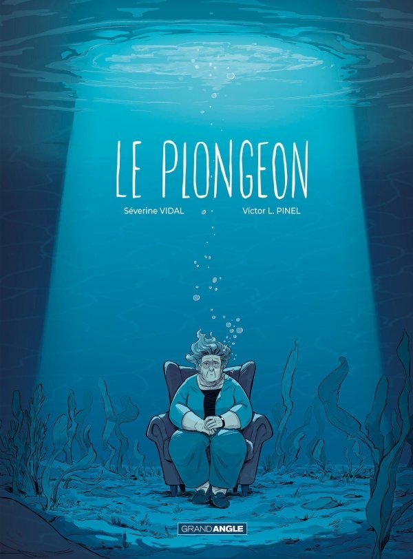 Le Plongeon - histoire complète