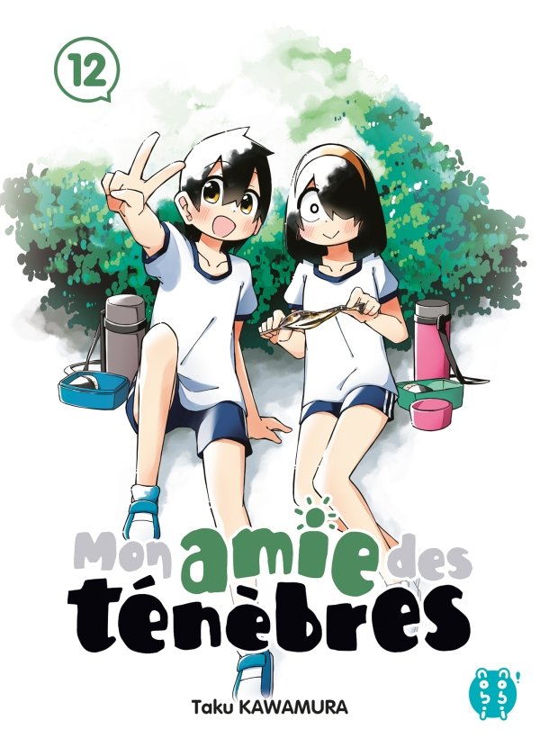 Mon amie des ténèbres T12 - mon-amie-des-tenebres - manga-fr