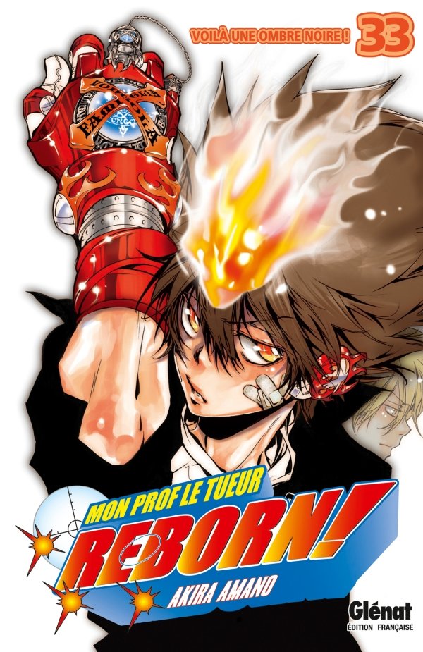 Reborn - Tome 33