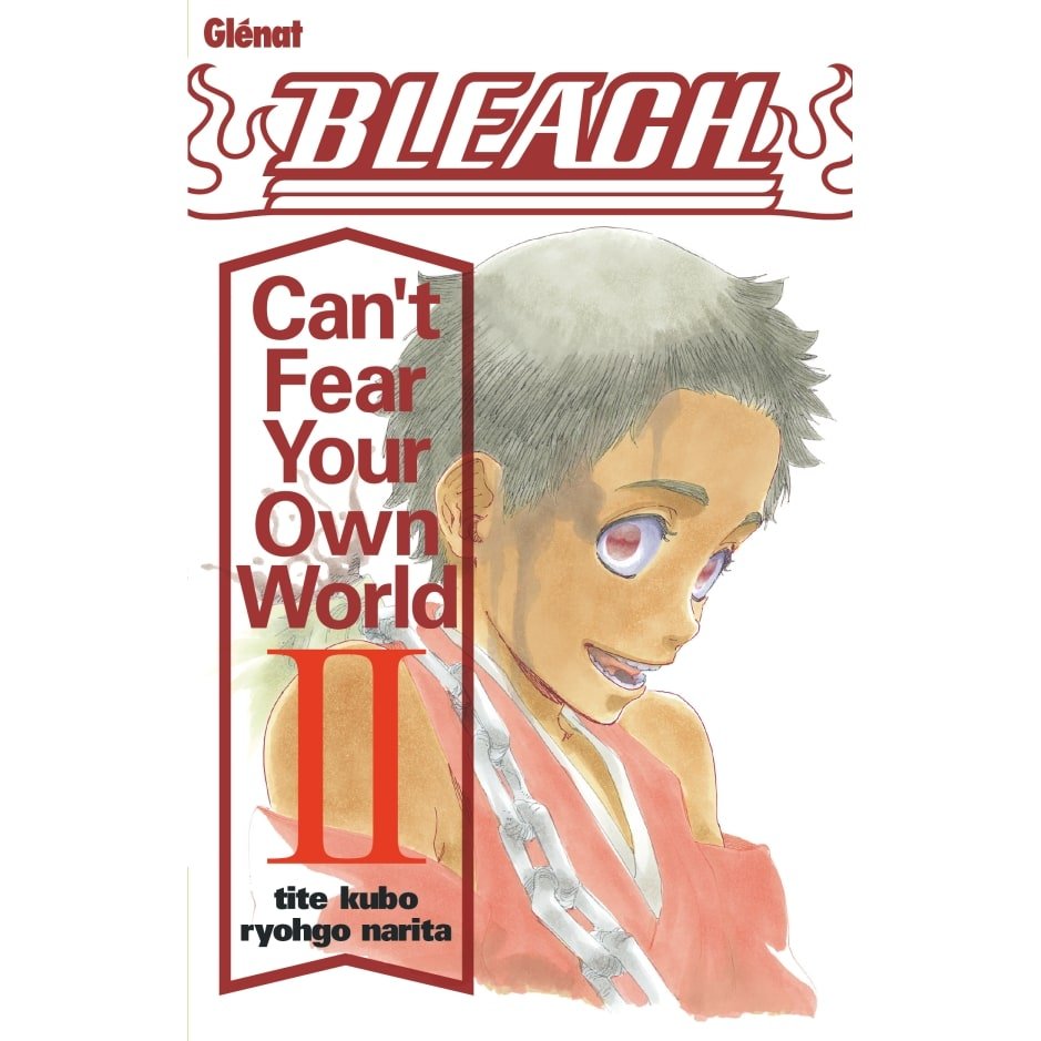 Bleach Roman - Can't Fear Your Own World - Tome 02